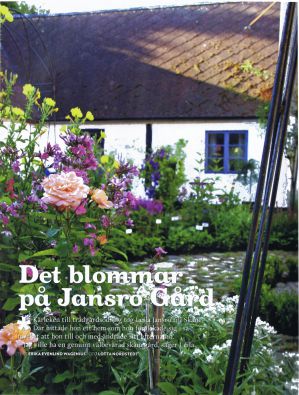 Artikel i TOVE nr 8, 2010